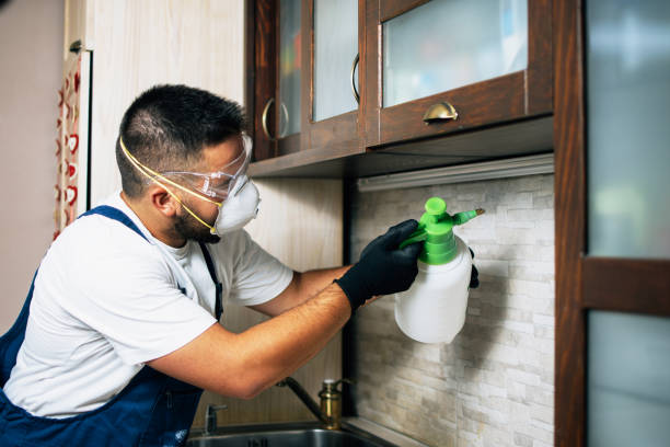 Pest Prevention Services in Campo, CA