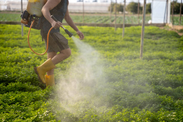 Best Commercial Pest Control Services  in Mpo, CA