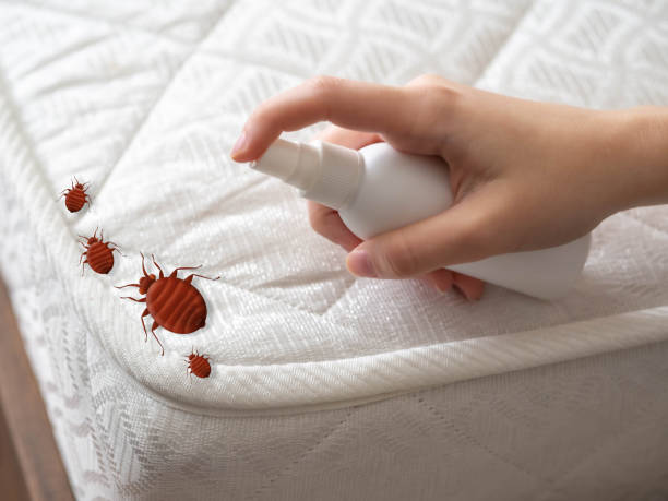 Best Pest Prevention Services  in Mpo, CA